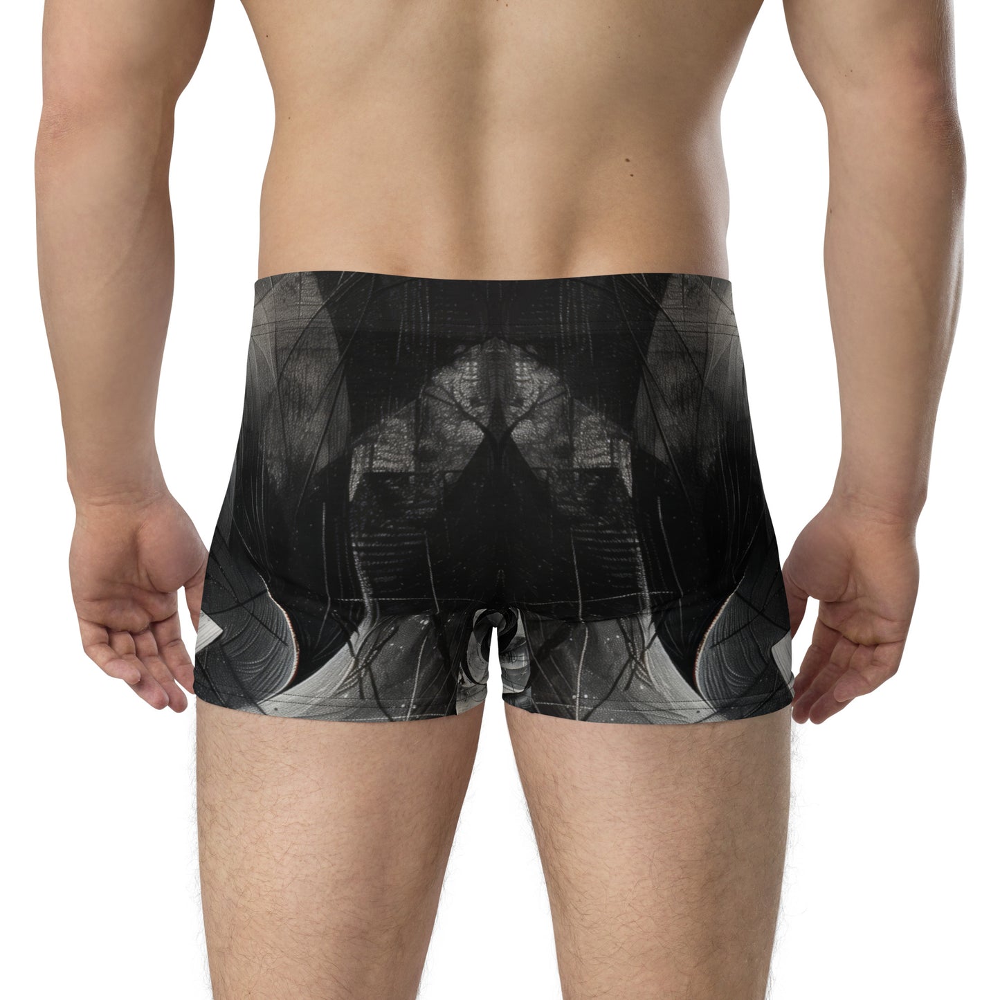 Black and White Acrylic Painting - Boxer Briefs