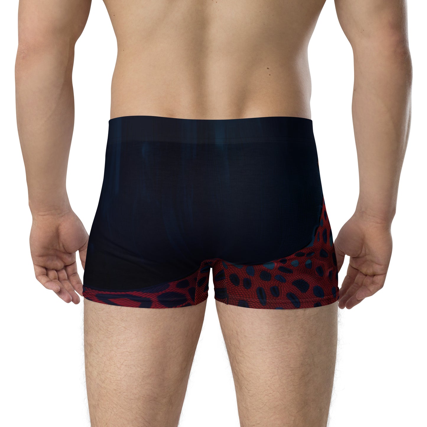 Sashiko Tiger - Boxer Briefs