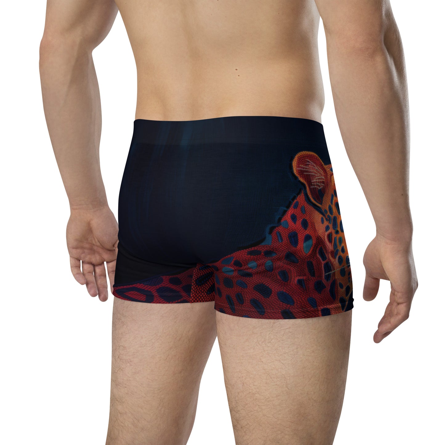 Sashiko Tiger - Boxer Briefs